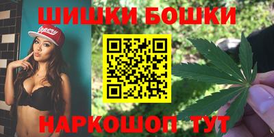 крисы Сланцы