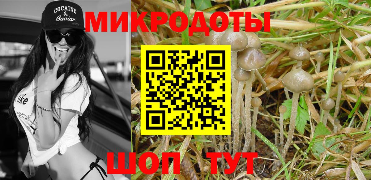 Новоуральск  Галлюциногенные грибы Cubensis  Вход с VPN 